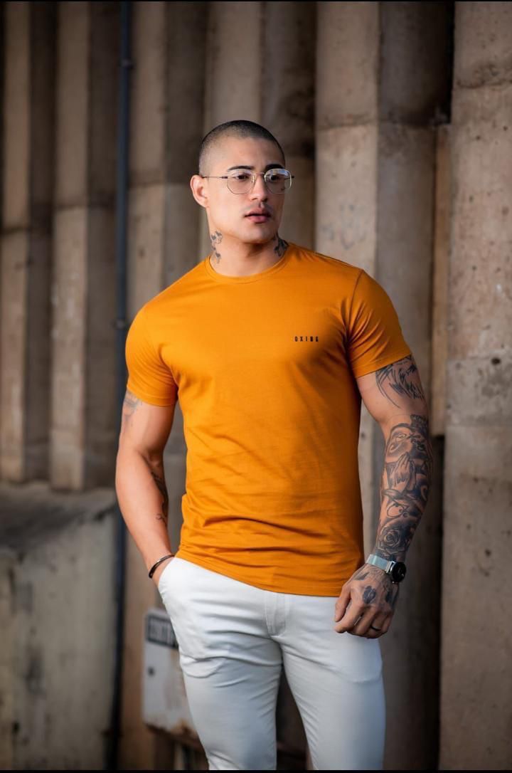 Camiseta básica 100% algodão